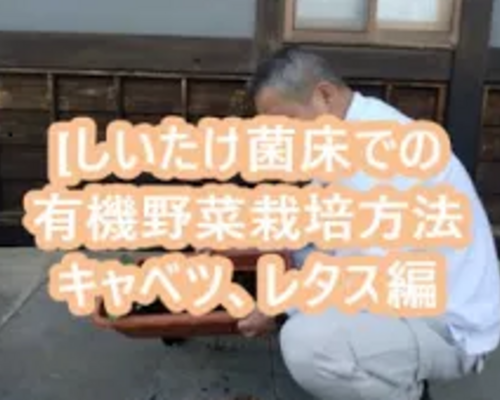 タイトルなし
