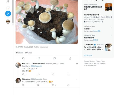 Web キャプチャ_22-9-2021_184634_twitter.com