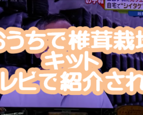 スナップショット 1 (2021-09-30 11-57)